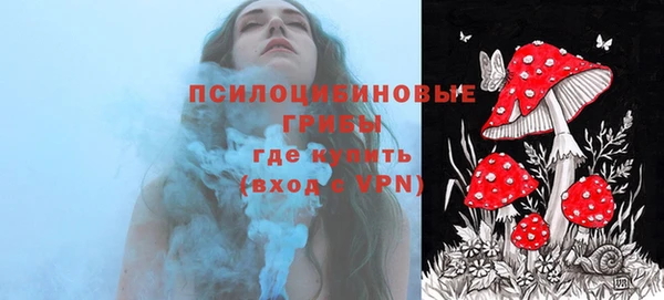 ECSTASY Ессентукская