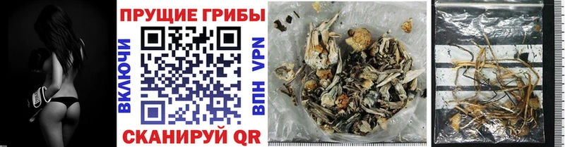 Псилоцибиновые грибы мухоморы Черепаново